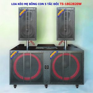 LOA KÉO MẸ BỒNG CON 5 TẤC ĐÔI TS-18G2820W